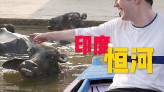 印度恒河里竟然有死牛！这条河到底脏不脏？