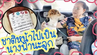 โลกของแสนดี ตอน บริจาคเลือดทำบุญครั้งใหญ่ให้พี่น้องสุนัข