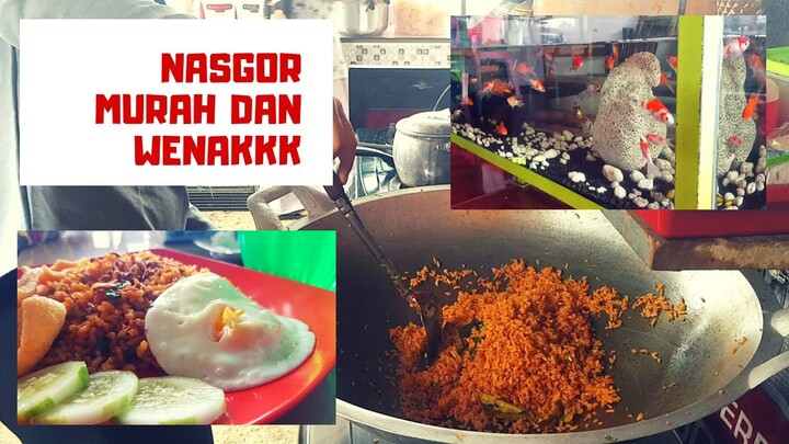 NASGOR MURAH DAN WENAK | DITEMANI IKAN IKAN LUCU
