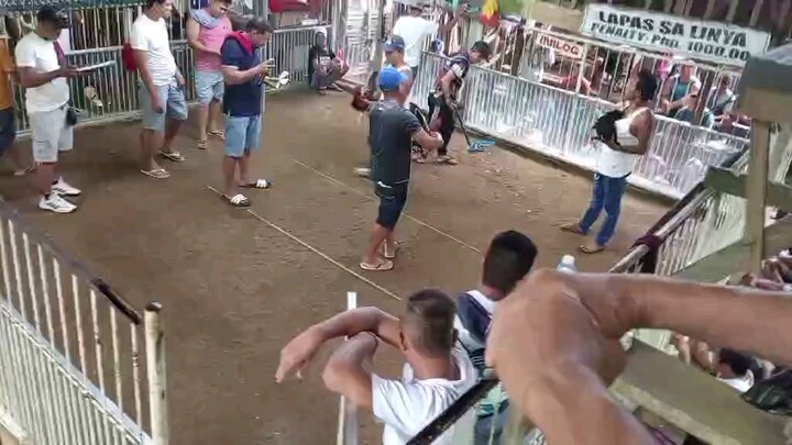 3wins ulotan 2nd fight loss#highlightseveryone