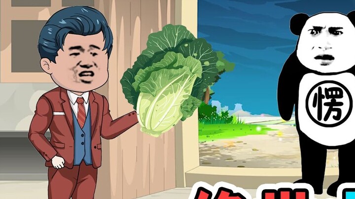 I sold a head of cabbage for a sky-high price of 100 yuan. Not only did no one find it expensive, bu