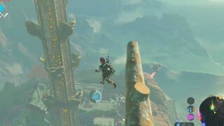 flew but not fully