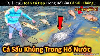 Giải Cứu Đàn Cá Cực Đẹp Trong Hố Bùn Bẫy Cá Sấu Khủng Lồ || Review Giải Trí Đời Sống