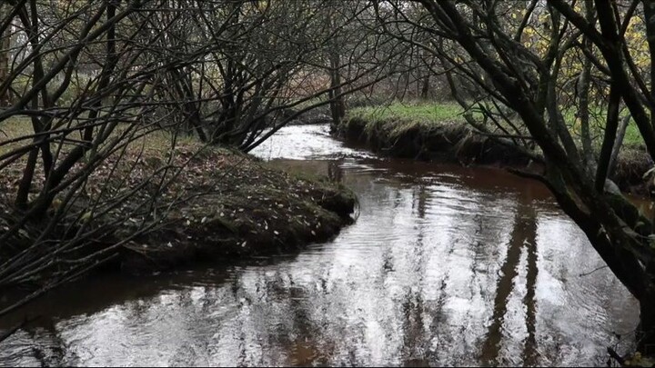 Rainy Day Reflections – Calm Music for Peaceful Thoughts
