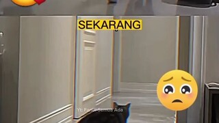 sendirian itu gak baik