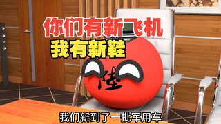 你们有新飞机新战舰，我有新三蹦子新鞋【波兰球】