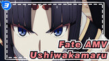 [Fate AMV] Ushiwakamaru: The Strongest Sword Guarding Babylon_3