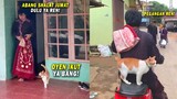 MASYAALLAH! Kucing Oren Ini Selalu Ikut Ke Masjid Bareng Majikannya Naik Sepeda Motor! Kucing Toren
