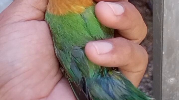 bitaw🥺♥️