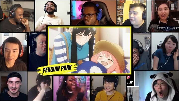 Penguin Park || Spy x Family Episode 12 || Reaction Mashup