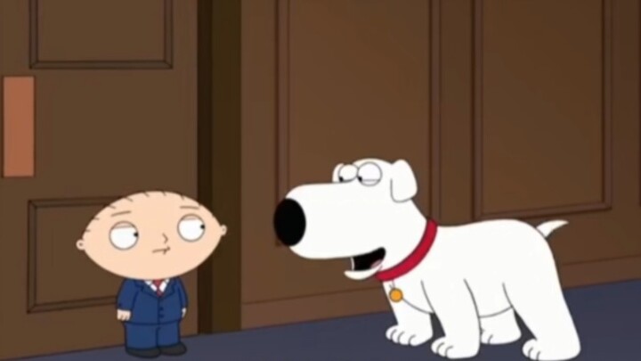 Brian the Stupid White Dog