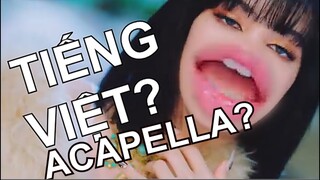 How You Like That nhưng đó là bản acapella cho những ai muốn remix