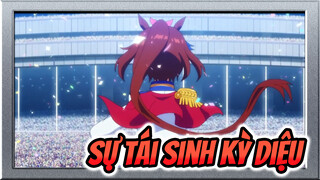 [Pretty Derby/Đầy cảm hứng/Tokai TeioMAD】Tokai Teio! Sự phục sinh kỳ diệu