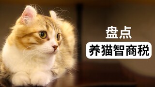 盘点养猫的智商税产品：营养膏、透明猫包、赖氨酸、猫窝等等