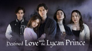 Destined Love with the Lycan Prince by Dreamshort/ Ep 1-10