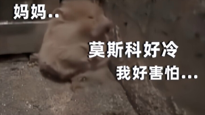 As long as it is German, the style of painting suddenly changes