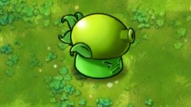 Fusion Plant 295: Pea-sized Effervescent Mushroom!