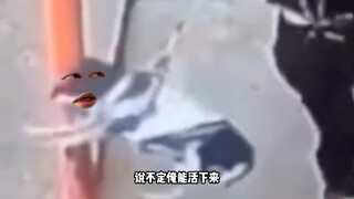 البندول الدوار