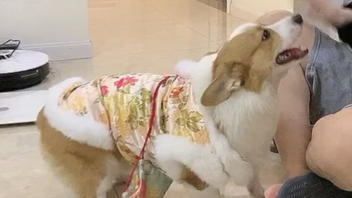 Hôm nay là show diễn thời trang quy mô lớn của Yakult, bạn trai cũng vui hết cỡ