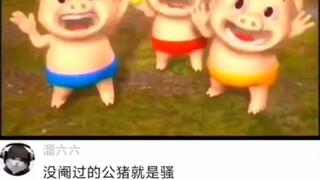 这么说我男神是合成猪肉？