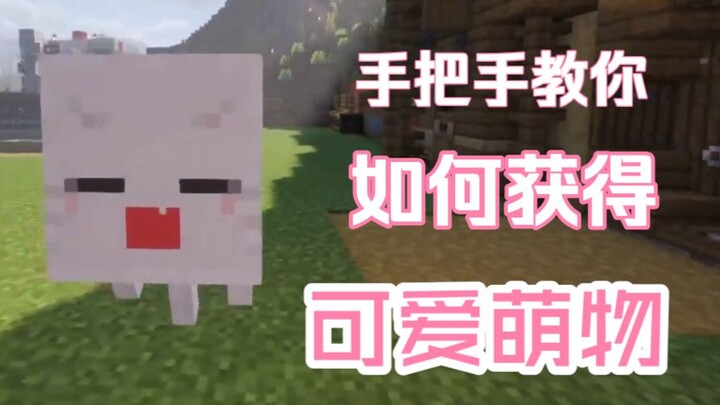 Teaches you how to obtain a cute, non-growing benevolent spirit.