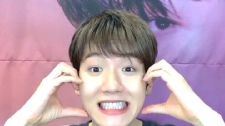 【Biên Bách Hiền】Thế nào là hành tinh hạnh phúc ~ Bố Bố Hổ: Đây có phải là mốt hiện nay không? Kỳ lạ 