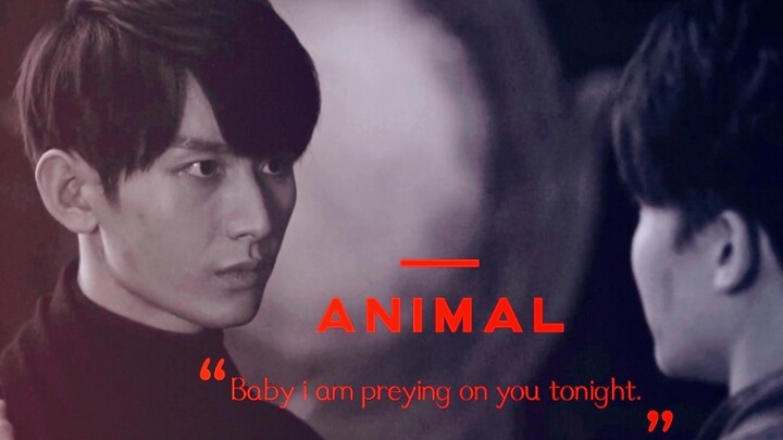 [Pin Xie] Animal: The innocent one hunted by carnivores ~ Driving & Epic [Cheng Yi × Hou Minghao]