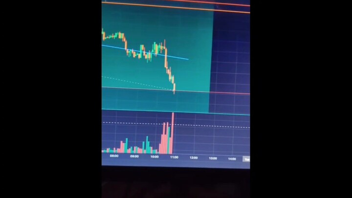starting trading