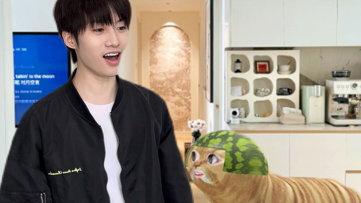 เมื่อคนเลี้ยงแมวออกไป แมวคิดว่า…