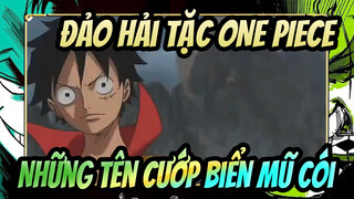 Đảo Hải Tặc ONE PIECE|[Nhạc Epic/Beat hòa âm - Nhạc Anime] Những tên cướp biển mũ cói
