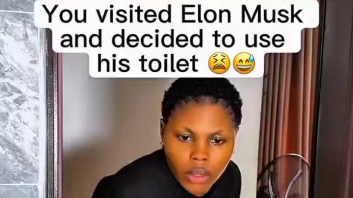 You visited Elon Musk and decided to use his toilet