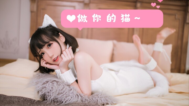 【Mianmiao】Be your cat, cat, cat, meow~