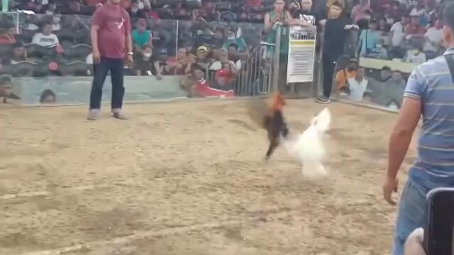 ITO NAMAN NAGPA CHAMPION SAMIN SA 2HITS ULUTAN SA PARAÑAQUE NUNG DEC2022. 1 YEAR AND 1 MONTH #DICH