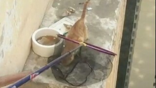 قلبي في حلقي...