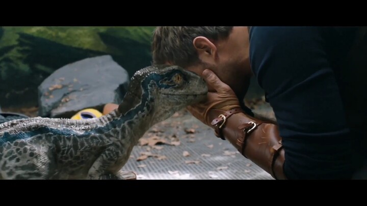 “What arrived before the order was Owen’s love.”