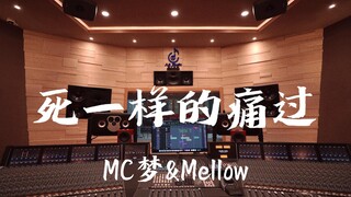 استمع إلى أغنية "Pain Like Death" لـ MC Mong & Mellow في استوديو تسجيل فاخر [دقة عالية]