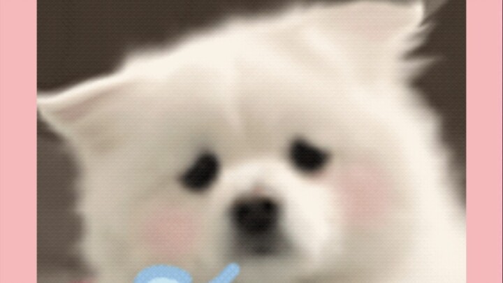 Sụp đổ rồi, sụp đổ rồi, thực sự sụp đổ rồi!