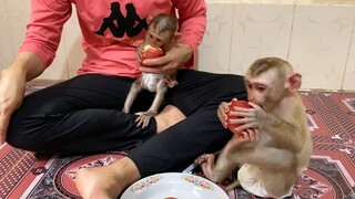 Mom Give An Apple For Each Baby Eating, Liheang Look So Much Like Eat Apple