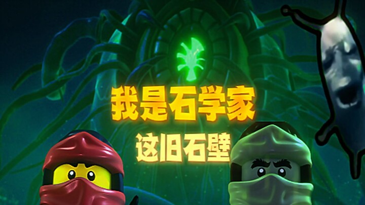 我是石学家，这旧石壁