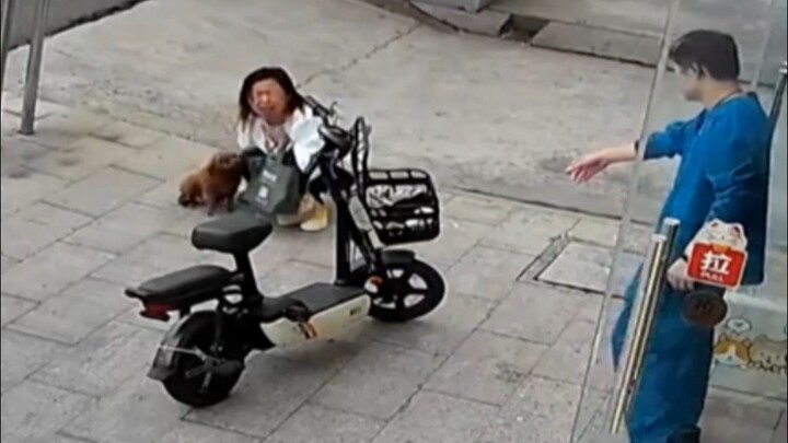 Chó: Mẹ ơi, nhà di động á? Ngầu quá nhưng con hơi sợ!