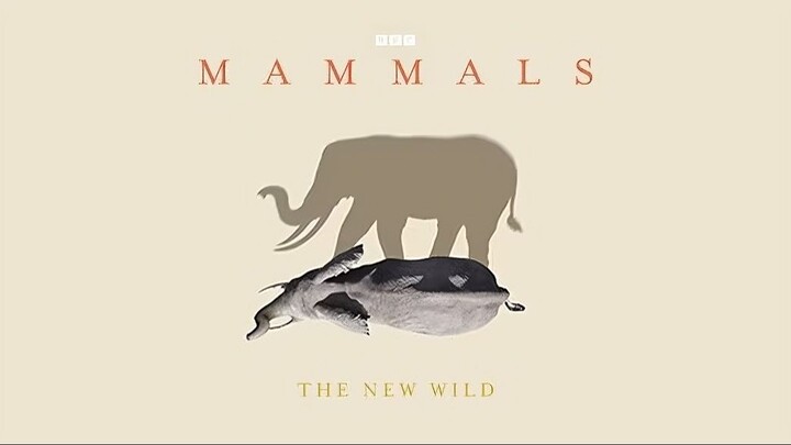 Mammals_2024_S01E02_The New Wild