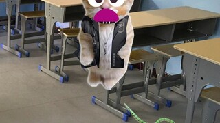 Banana Cat Plays a Prank on the School Bully Doll