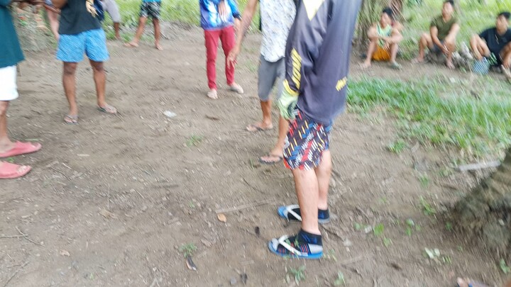 Boston gold .. 2x winner .. Malaki magulang ang kalaban .. win ..