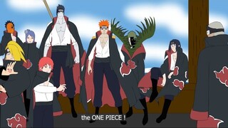 The Akatsuki in One piece