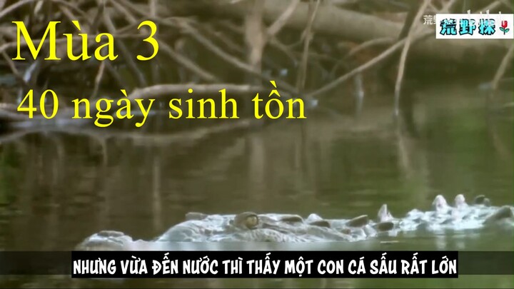 Mùa 3 40 ngày sinh tồn tập 4,đội sáp nhập rồi bỏ cuộc