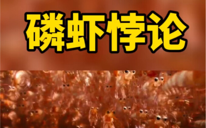 Paus balin: petani krill, petani laut