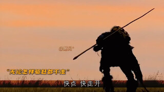 “你救我一命，我伴你一生，相互的救赎”