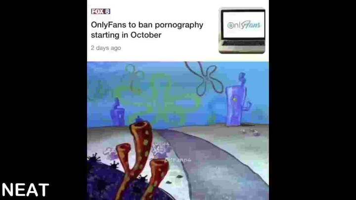 Memes that are unbelievably funny.