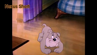 Tom & Jerry (Ep 5.2) Dog Trouble (phần 2) #TomandJerry