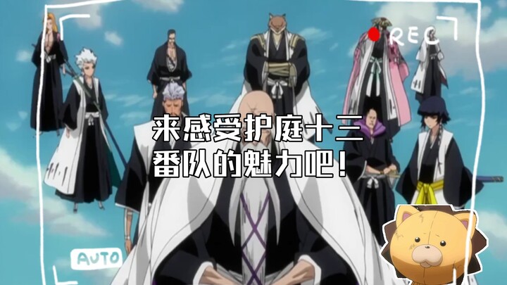 来感受护庭十三番队的魅力吧！